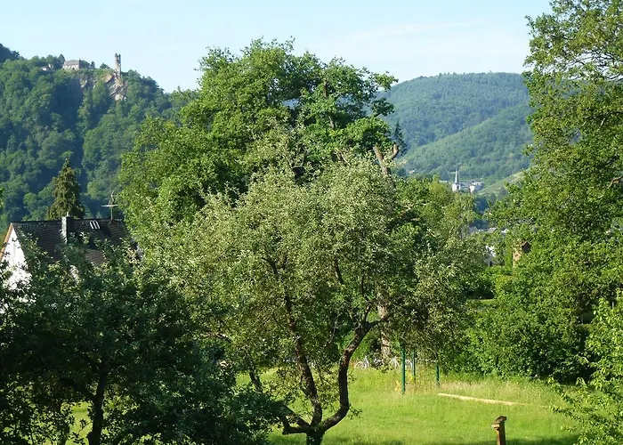 Feriendomizil Im Plantert アパート トラーベン・トラールバッハ